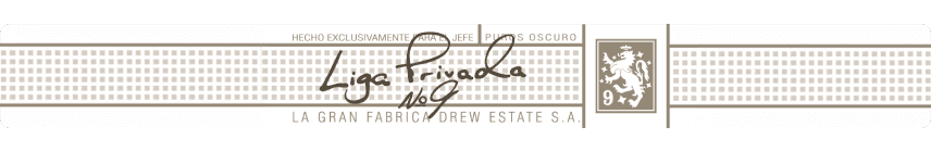 Liga Privada Logo