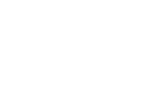 Padron Logo