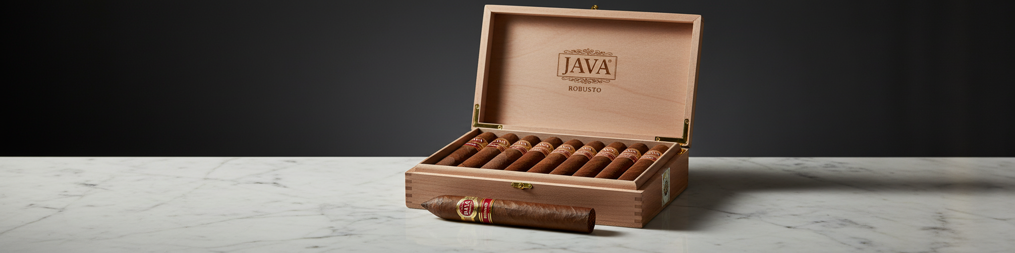 Java Robusto